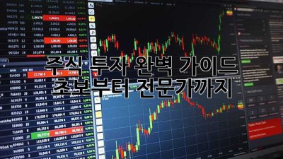 주식 투자 완벽 가이드: 초보부터 전문가까지