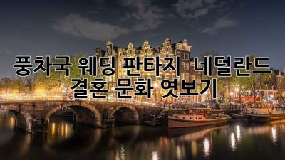 풍차국 웨딩 판타지 🇳🇱 네덜란드 결혼 문화 엿보기 💍